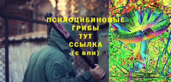 мдпв Заволжск