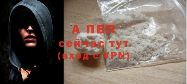 сатива Заводоуковск
