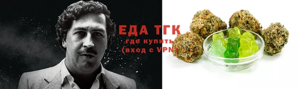 сатива Заводоуковск