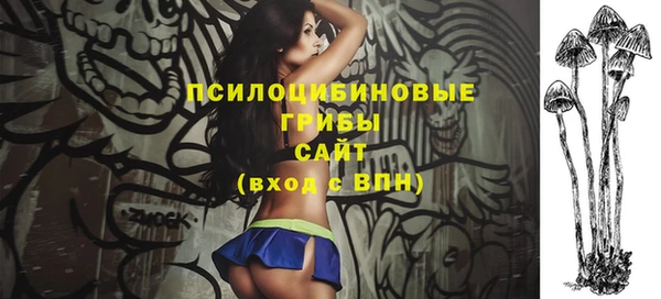 сатива Заводоуковск