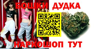 шишки Апшеронск