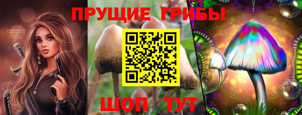 Галлюциногенные грибы прущие грибы  Вход с VPN  Сибай 